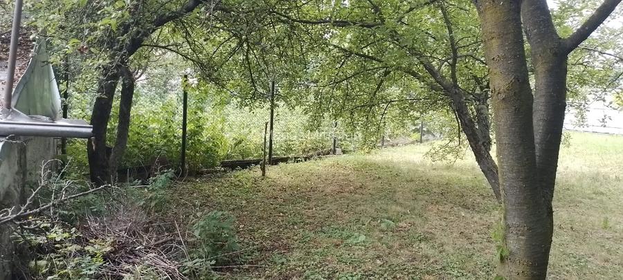 PRIVAT 844mp cu Casa si Utilitati - Zamca, Ideal pentru Locuinta sau Investitie - 3