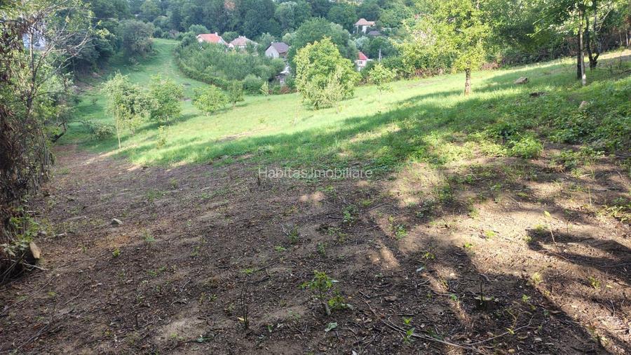 0 % Comision!Teren intravilan , 5330 mp, front de 29 m, in Feleac - 9