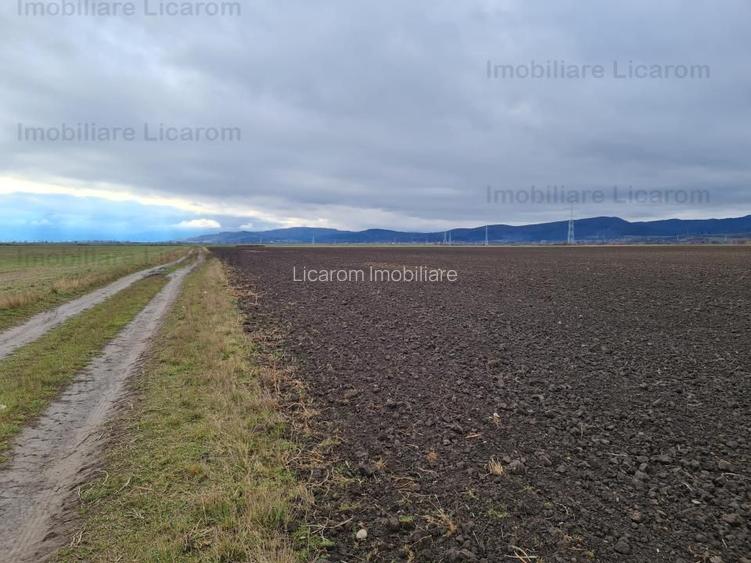 Teren extravilan 2,9 HA,intre Cristian si Vulcan - 6