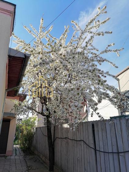 CASA 3 CAMERE SI CURTE - GIULESTI STRADA ARTARULUI - TEREN 296 MP - 3