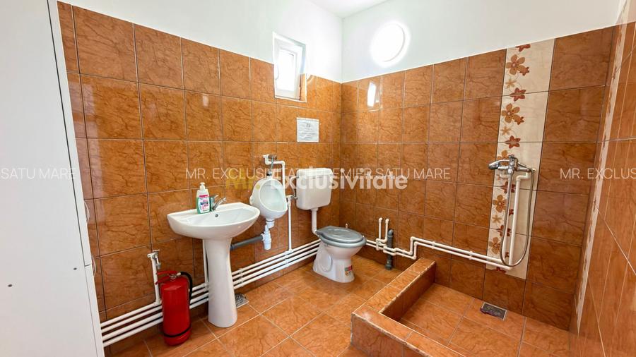 Inchiriere Hală Garaj/ Clădire de birouri-Teren 4000 mp – Carei - 12