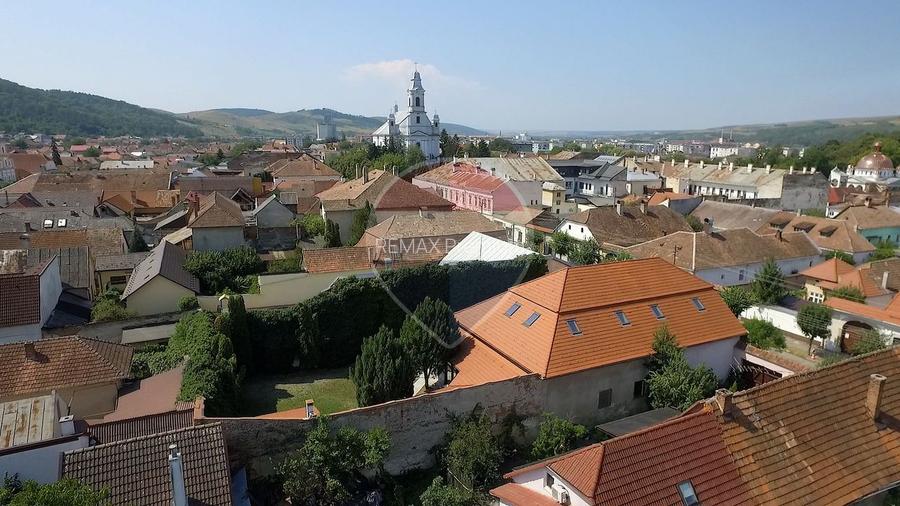HOTEL Karol | Resedinta istorica, colectie de arta si patrimoniu - 36