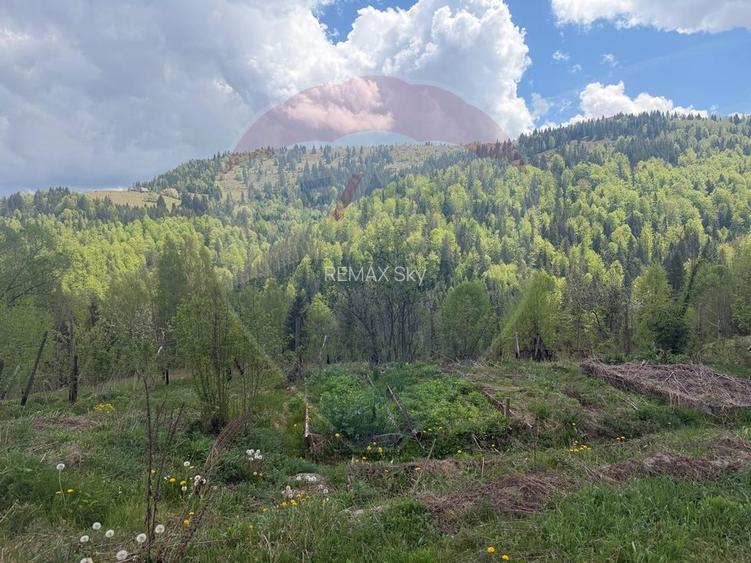 Casa de vânzare | Horea, Alba | Lux și Spațiu Generos - 32