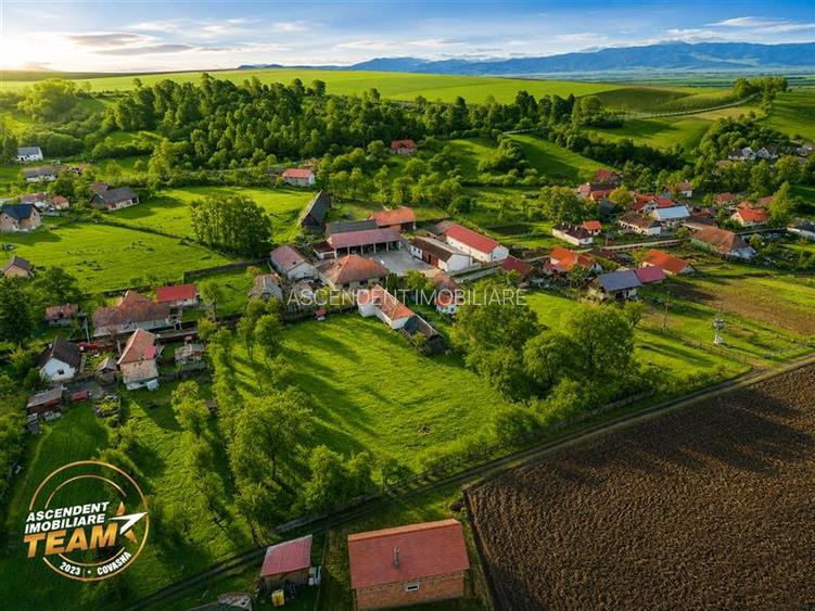FILM! 5.000mp teren intravilan cu casuta rustica, Dalnic, Covasna - 10