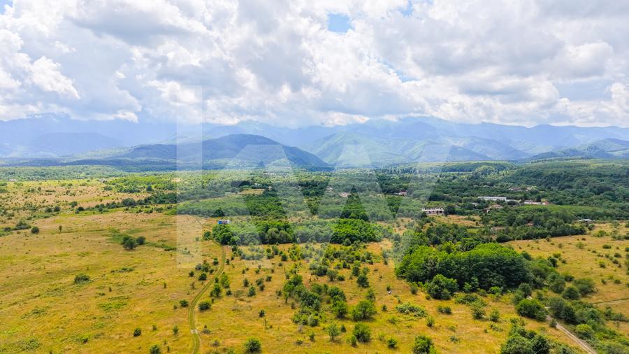 Teren extravilan de vânzare - Valea Avrigului, Sibiu
