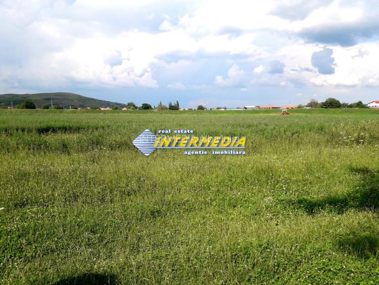 Teren de vanzare in Oarda, zona Ses la sosea 2000 mp