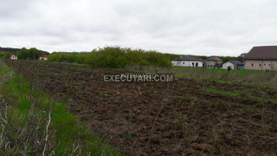 SNAGOV SAT - Teren- 2410m² - Toate utilitatile - Zona de Vile - 6