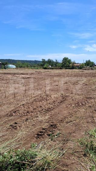 Teren intravilan 2.531 mp, dublă deschidere 2 străzi, utilități, zona Radovan