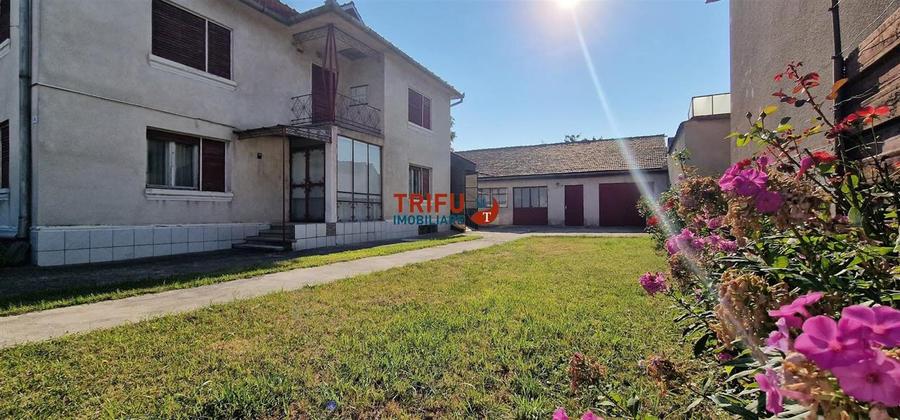 Casa 5 camere 743 mp teren Sebes