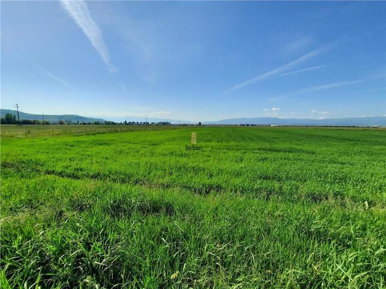Teren Sibiu - Calea Surii Mari - 4500 mp