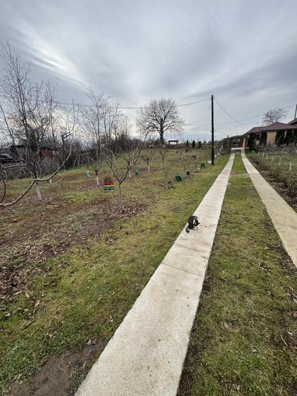Vanzare 2 case si anexe, Urlati