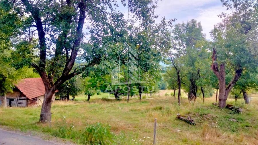Teren Intravilan Magulicea - Zona Varfurile