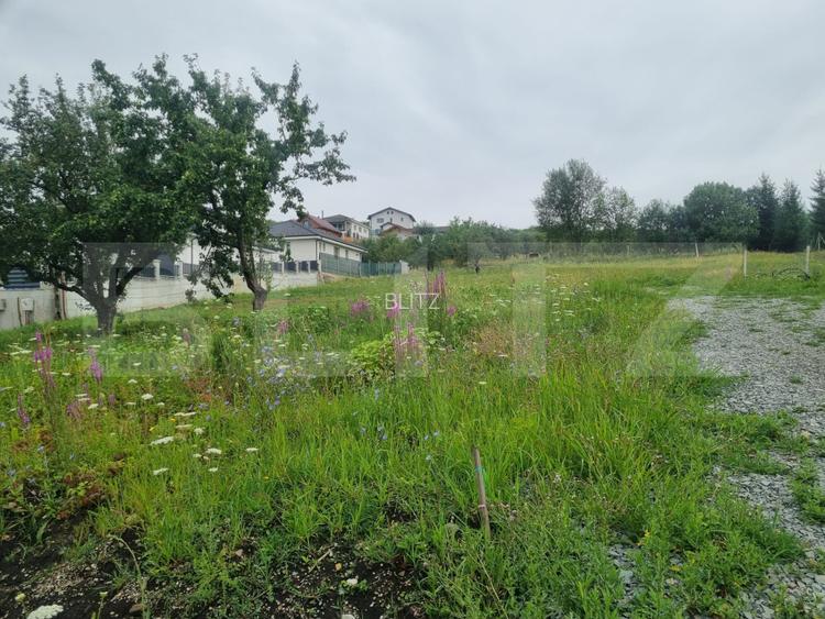 Teren 4.000 mp cu priveliște spre oraș, zonă liniștită, disponibil și parcelat - 3