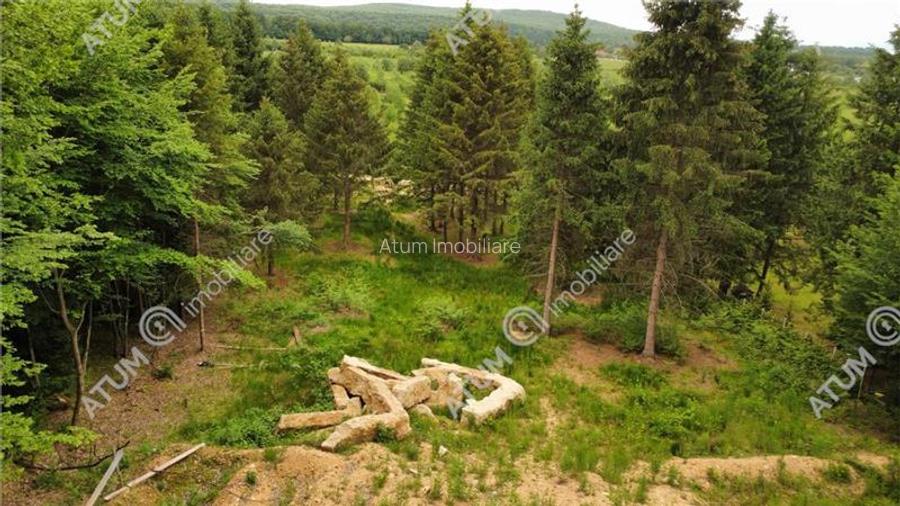 Teren intravilan 3000 mp in Porumbacu de Sus din Sibiu - 12