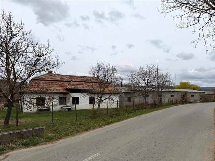 HALE INDUSTRIALE | CLADIRE BIROURI | TEREN 7000 MP | GHEGHIE BIHOR