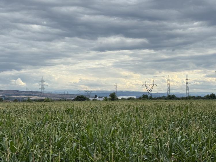 Teren Extravilan | 7.000 MP | DNCALB | Alba Iulia