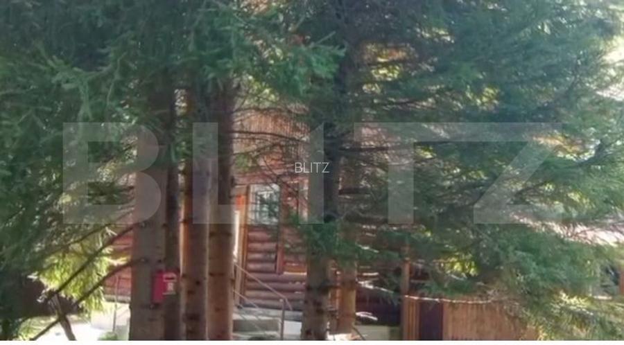 Cabana cu parau si brazi maturi, 1400mp, Valea Fericirii - 3