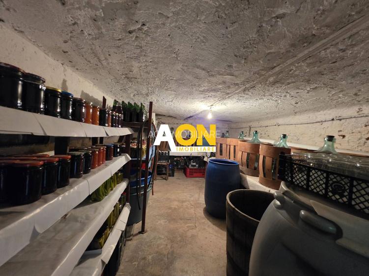 Ocazie! Casă 6 camere, stare buna, 600 mp teren, Centru, zona Tribunal - 19