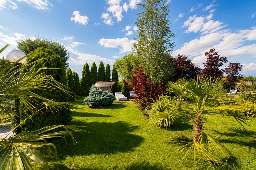 Afacere la cheie Brasov-Cazare, evenimente, wellness, piscina