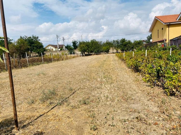 Teren constructii de vanzare - Valu lui Traian, Constanta