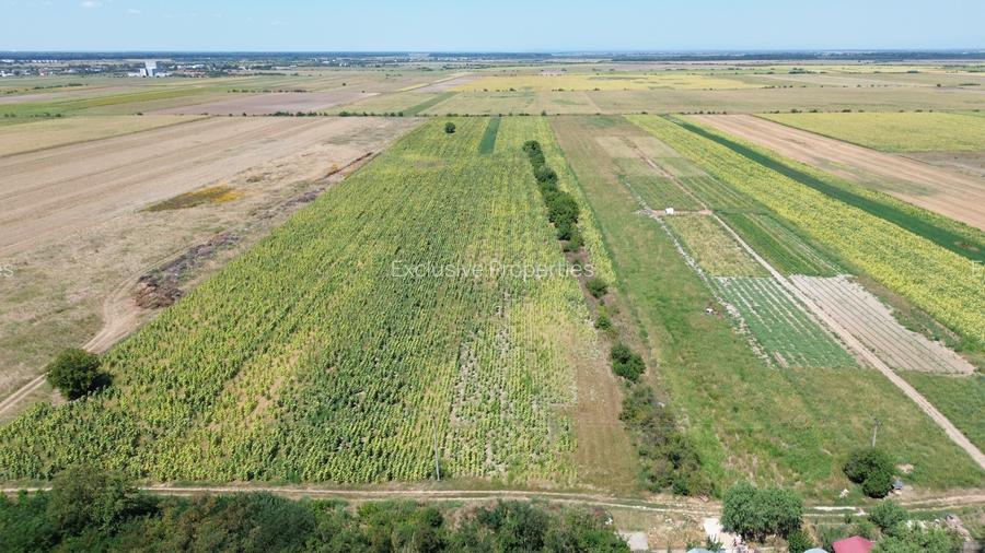 Teren intravilan in Darza  (langa Buftea) deschidere 24m, pret negociabil - 2