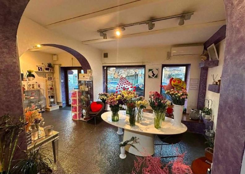 URGENT / FLORĂRIE DE VÂNZARE / AFACERE LA CHEIE - 9