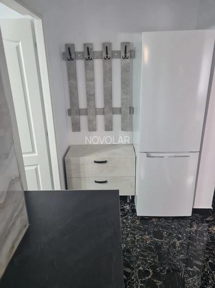 Apartament 2 camere Costin Georgian - 4