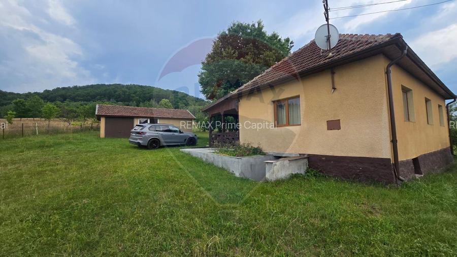 Casă cu livadă, 4 camere din cărămidă, de vânzare în zona Bratca-Damiș - 42