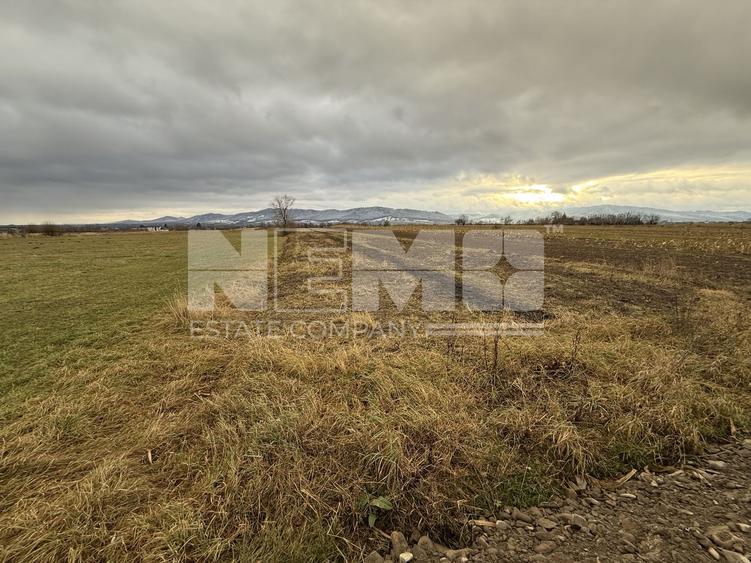Teren 80 Ari | Vicovu de Sus – Bahna | Front 16.5