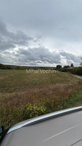 Vand teren Intravilan 1400 MP in Parcul National Comana - Vlad Tepes - Giurgiu - 6