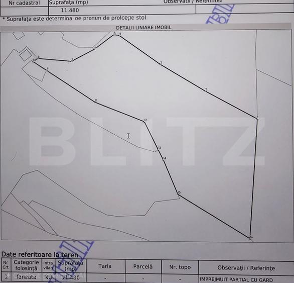 Teren extravilan 11.480 mp cu potențial intravilan – Trâncești, Scărișoara