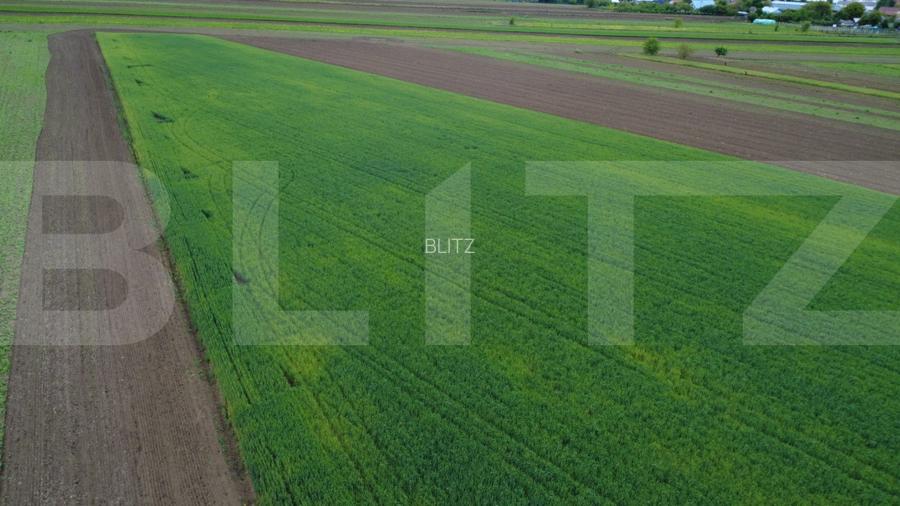 Teren agricol, 5.200 mp, Comuna Sendriceni - 2