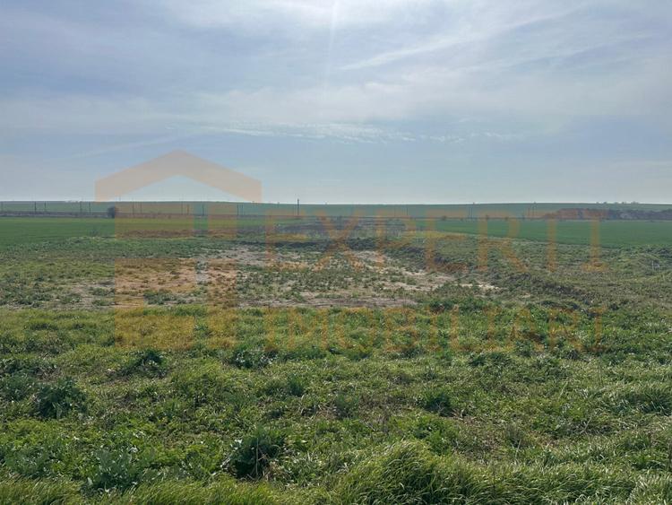Teren intravilan 10.000 mp | DN | in Zona Volvo - Hala Neagră