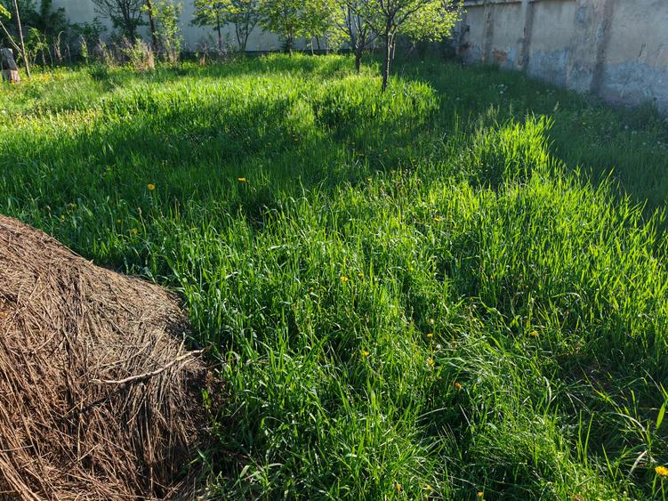 Teren rezidential intre case zona Mihai Eminescu