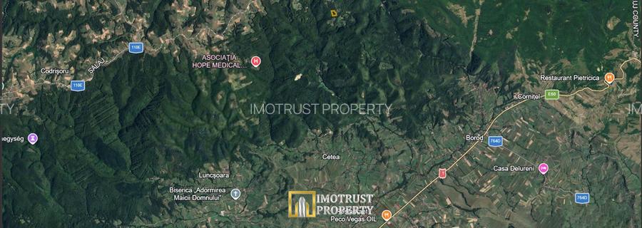 Pădure și pășune de vânzare 8,2037 ha Borod, Bihor