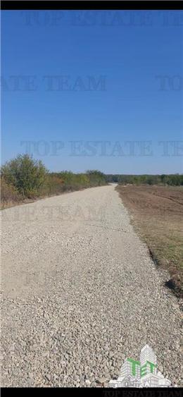 Teren Dambovita, Butimanu 14394 mp, ideal proiect hale