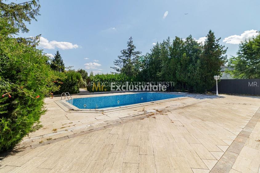 Domeniu privat 5.000 mp, cu reședință de 625 mp și piscină, Corbeanca - 36
