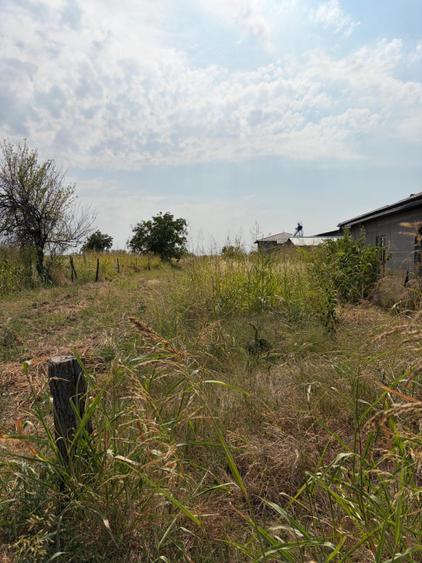 Teren intravilan de vanzare, 1.000 mp, zona Malu Mare