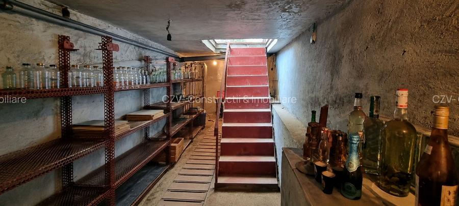 Casa cu vie, livadă și timp pentru tine - 23