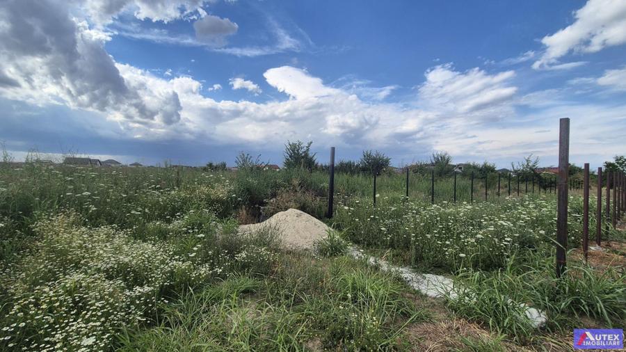 Teren Casa 800 mp in Magurele la 2 Pasi de Bucuresti