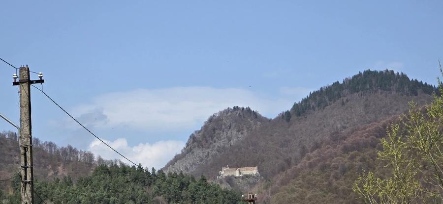 Teren intravilan 8.000 mp, Arefu – Transfăgărășan | livadă, teren plat
