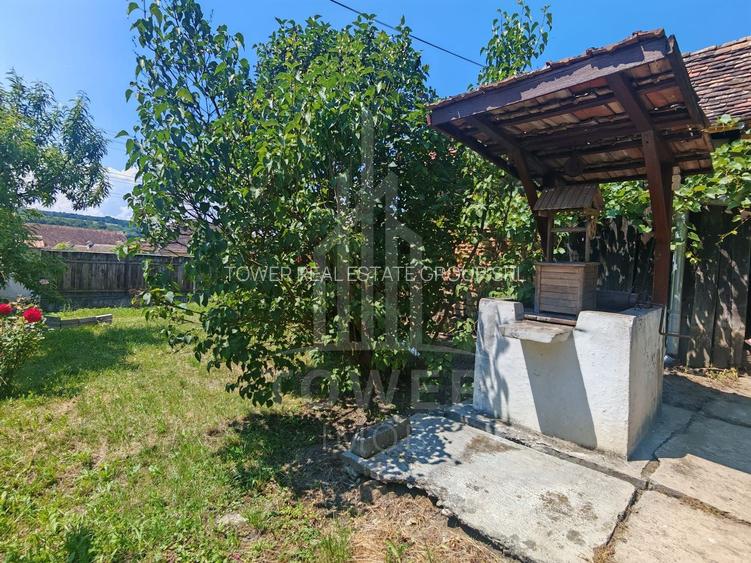 Casă săsească autentică în Bruiu (Sibiu) - 15
