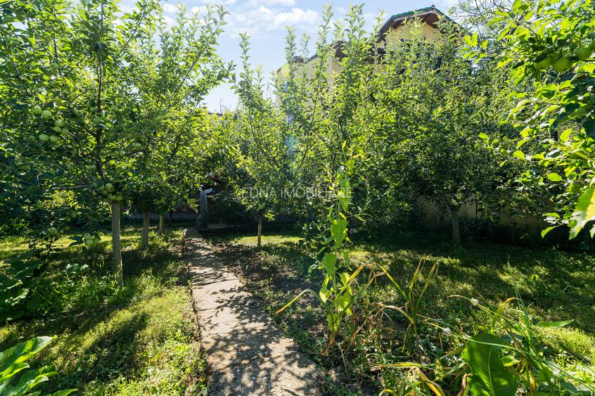 Crisului, casa boiereasca si teren de 800 mp - 50