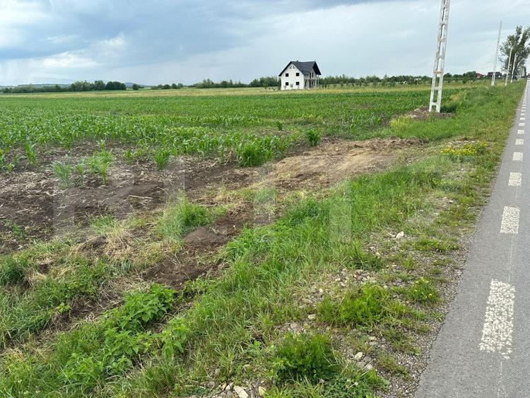 Teren intravilan ,4900 mp , 25ml front, Fratautii Vechi, Radauti