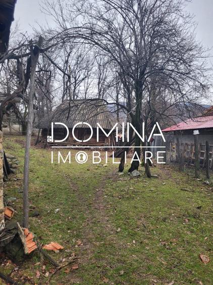 Teren generos 4790 mp + casă tradițională, în loc. Mușetești