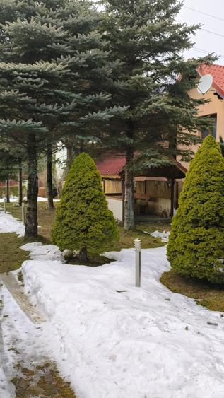Casă spațioasă cu garaj și pivniță, terasa,gradina aproape de natură-Busteni