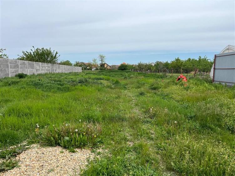 Remetea Mare, Teren Intravilan 1.500 Mp.,