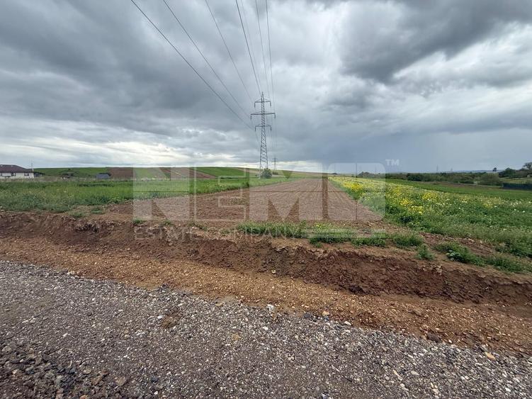 Teren Burdujeni | Zona Tarinca | 41 Ari