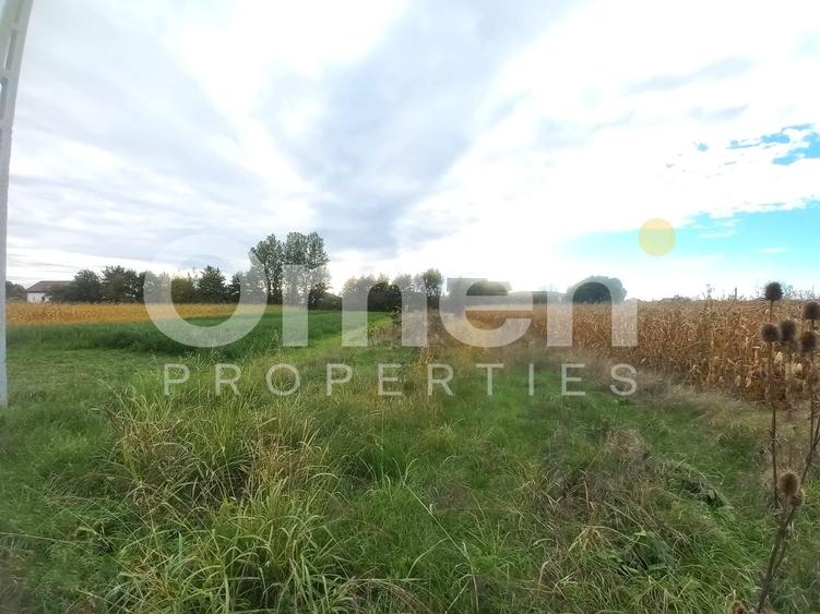 Teren intravilan de 10 arii de vânzare în Cătălina – zonă în plină dezvoltare