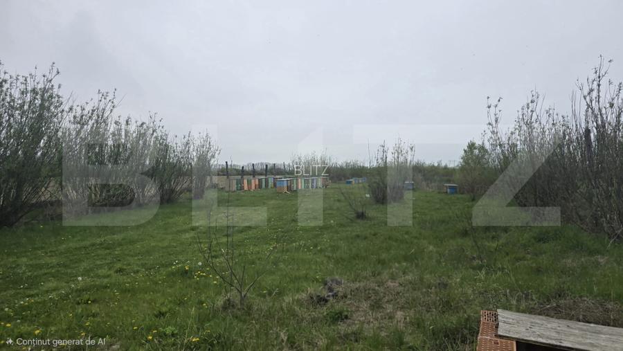 Spatiu industrial Hala 106 mp, 5700 mp Teren intravilan - Livada - 9